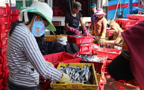 Hỏi mua máy hút chân không hải sản ở Nam Định
